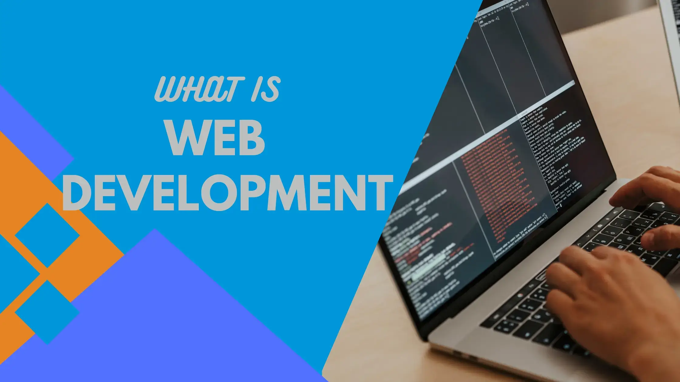 What is web development